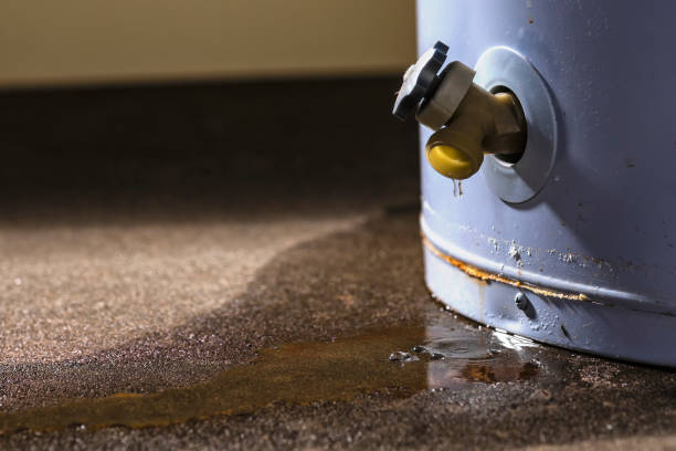 Best Local water damage restoration  in Winter Haven, FL