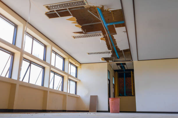 Best Flood restoration services  in Winter Haven, FL