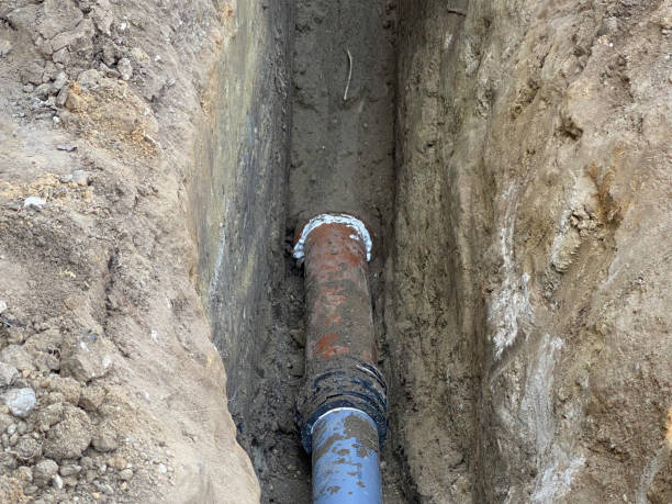 Best Flood damage cleanup  in Winter Haven, FL
