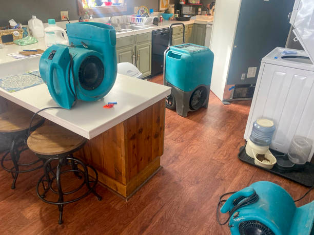Best Emergency water damage restoration  in Winter Haven, FL