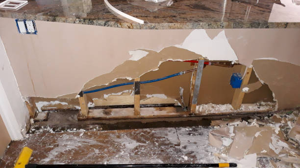 Best Flood restoration services  in Winter Haven, FL