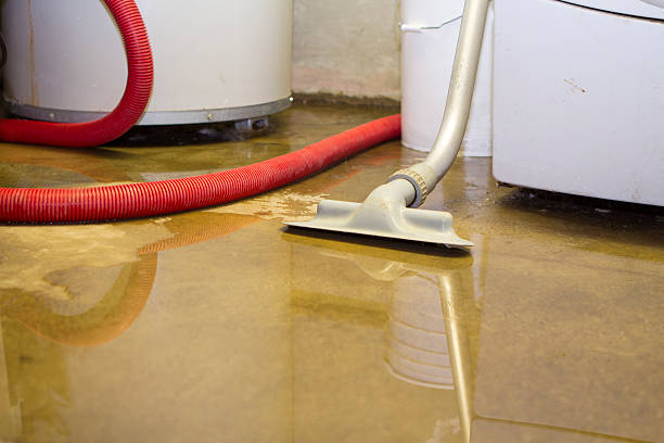 Best Sewage cleanup and water damage restoration  in Winter Haven, FL