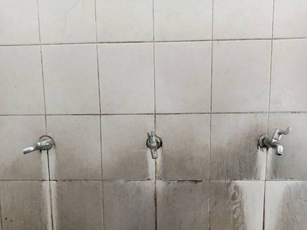 Best Flood restoration services  in Winter Haven, FL