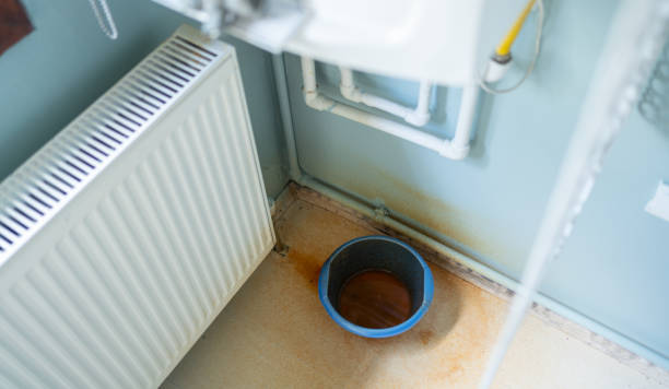 Best 24-hour water damage restoration  in Winter Haven, FL