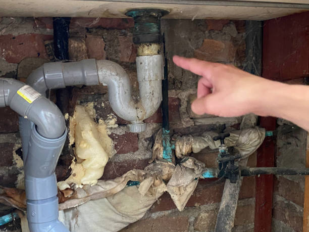 Best Water damage restoration near me  in Winter Haven, FL