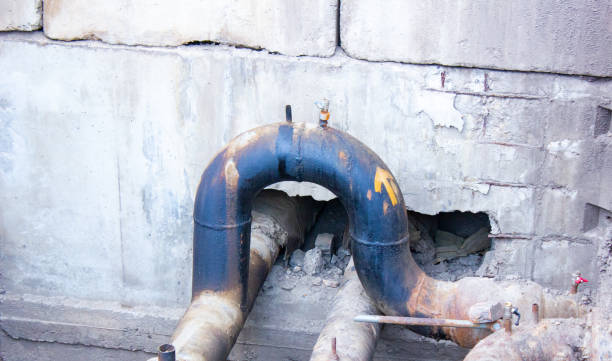 Best Water damage restoration company  in Winter Haven, FL