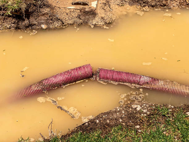 Best Basement water damage restoration  in Winter Haven, FL