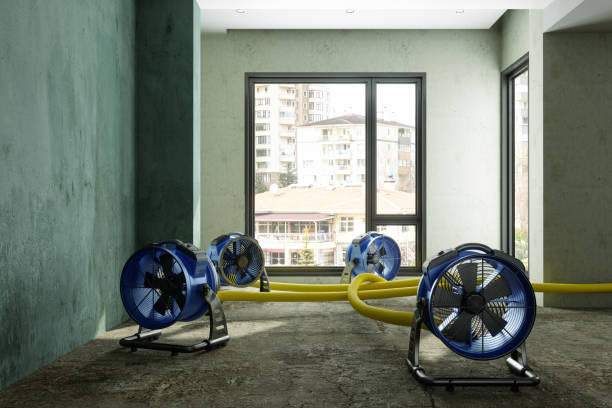 Best Water damage restoration insurance claims  in Winter Haven, FL